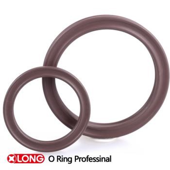X Cincin Vs O Ring