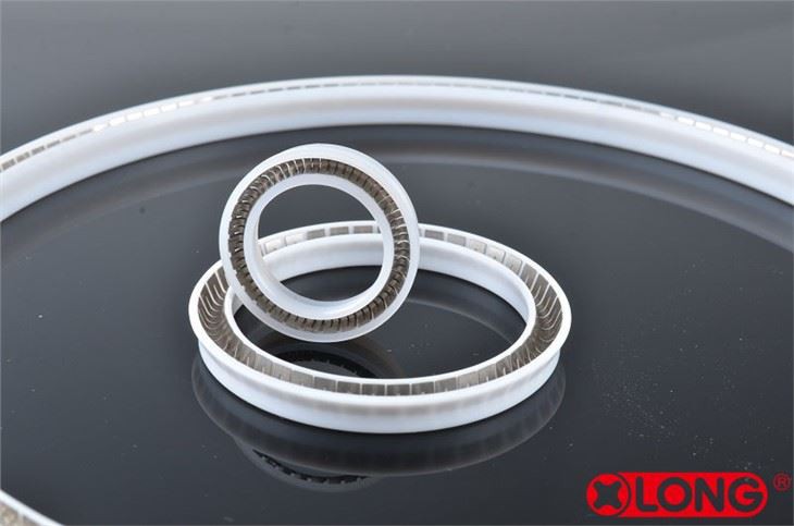Segel Poros Statik Bertenaga Spring PTFE